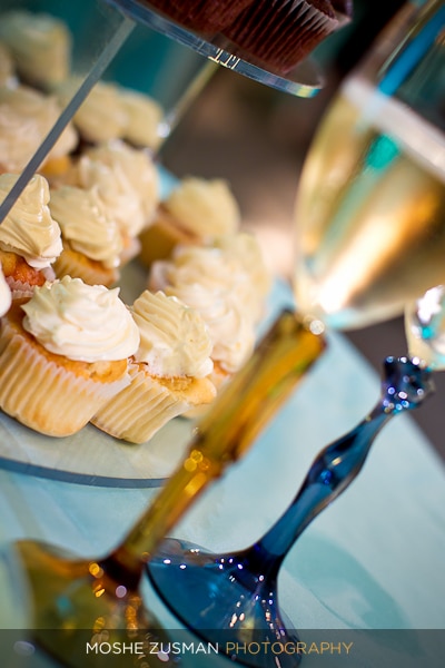 Moshe Zusman Photography Copyright 2010 (10)