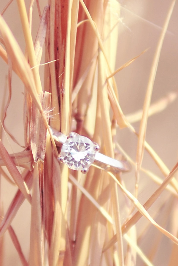 Seneca Park Engagement Shoot Pictures Maryland (9)