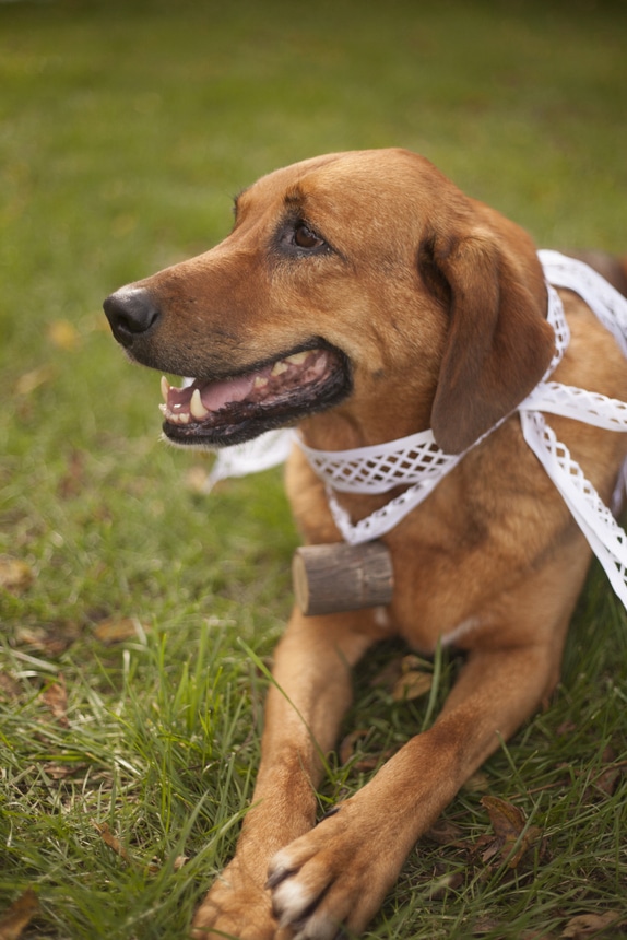 river woods plaid eclectic DIY small budget virginia wedding (20)