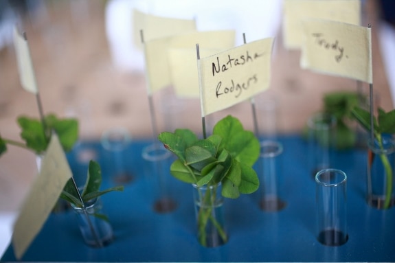 unique DIY escort cards