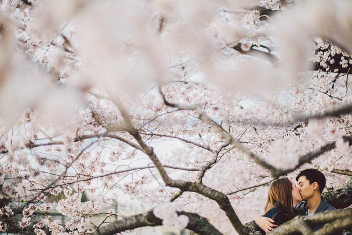 offbeat fun DC engagement pictures cherry blossoms