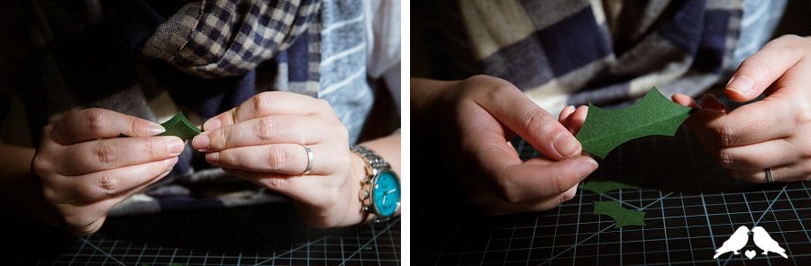 View More: http://tracijbrooks.pass.us/rbmistletoeholly