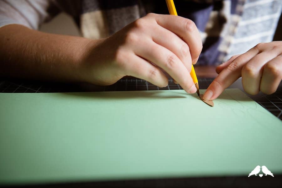 View More: http://tracijbrooks.pass.us/rbmistletoeholly