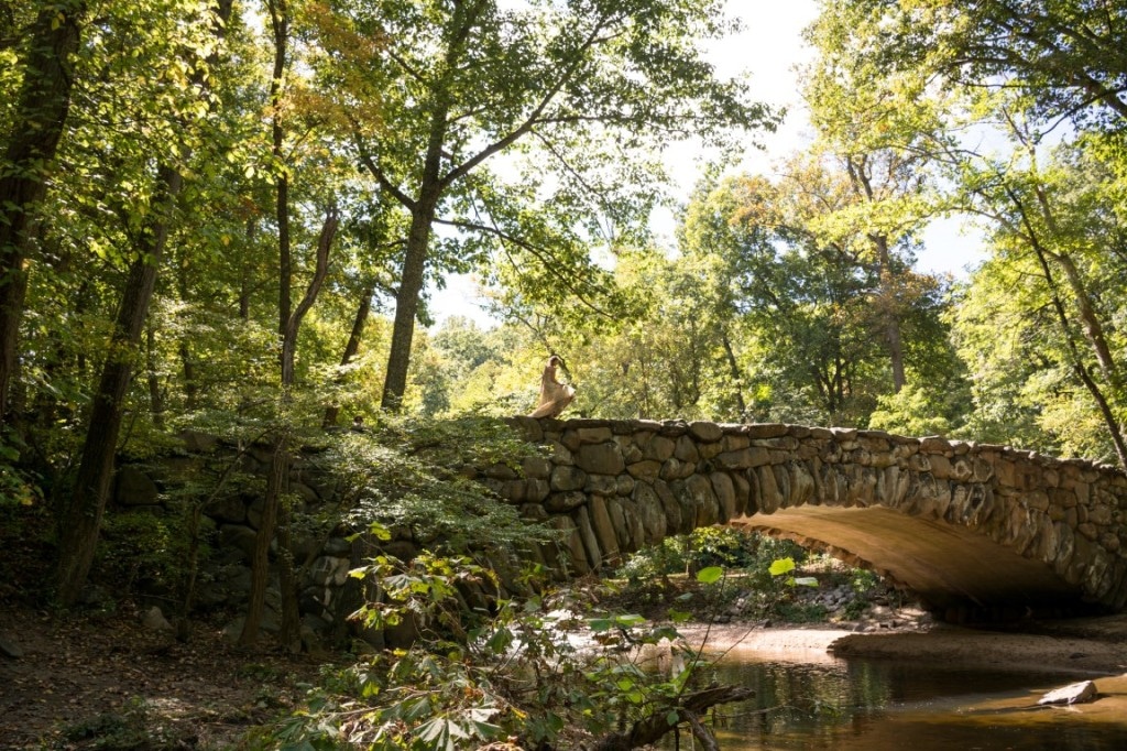 rock creek park trash the dress (5)