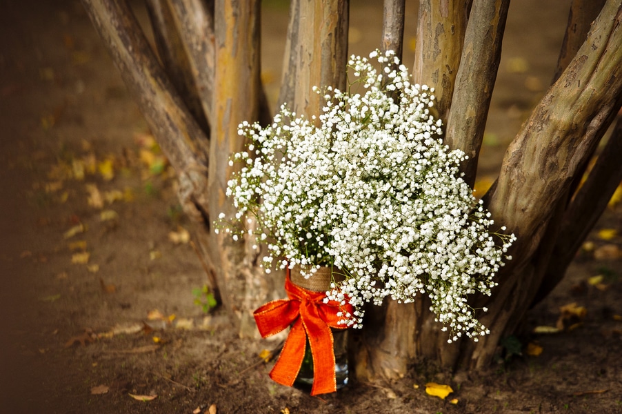 intimate Fall Old Town Alexandria Virginia wedding pictures (23)
