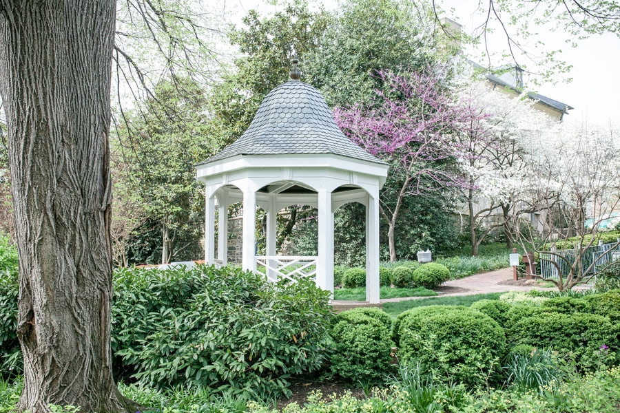 intimate rustic virginia wedding pictures (18)