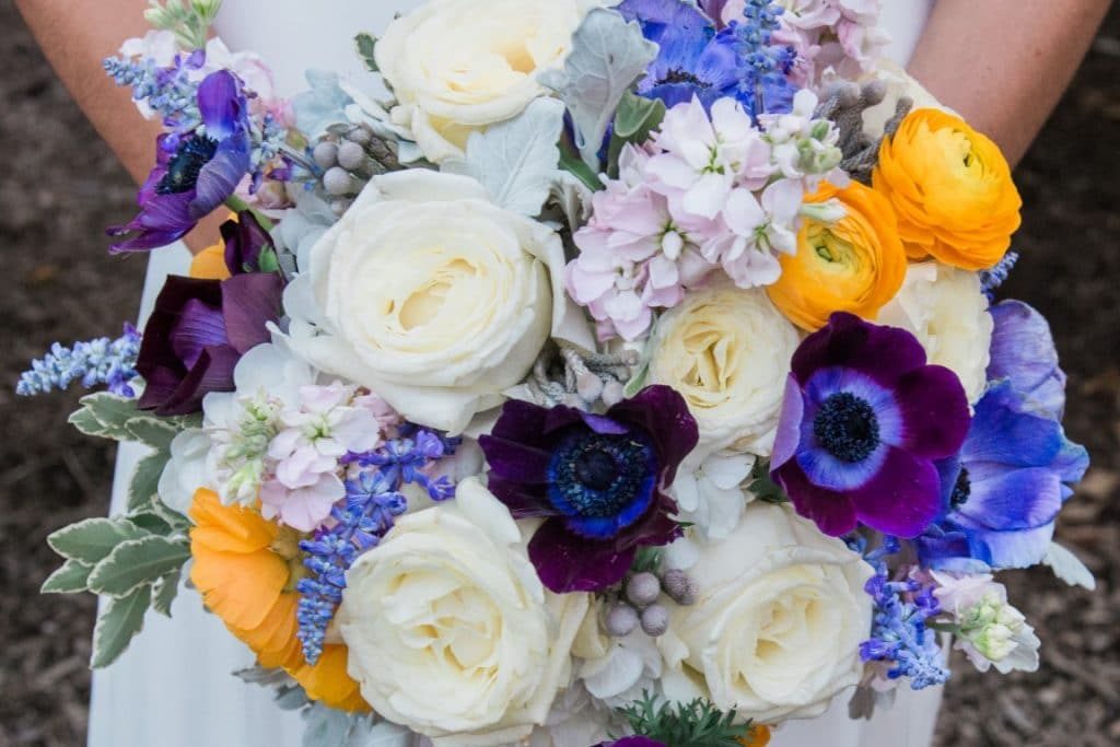 View More: http://brittneylivingstonphotography.pass.us/running-hare-vendor-gallery