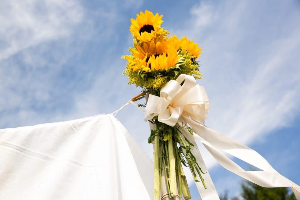 DIY Virginia wedding broad run farm pictures (13)