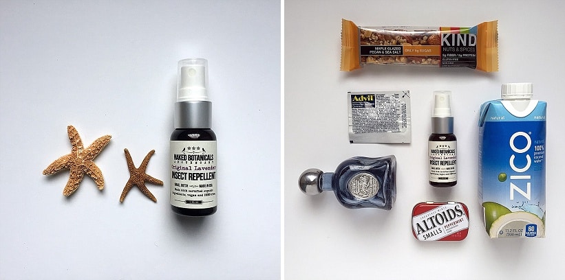 organic insect repellant wedding welcome bag favors made in dc (4)