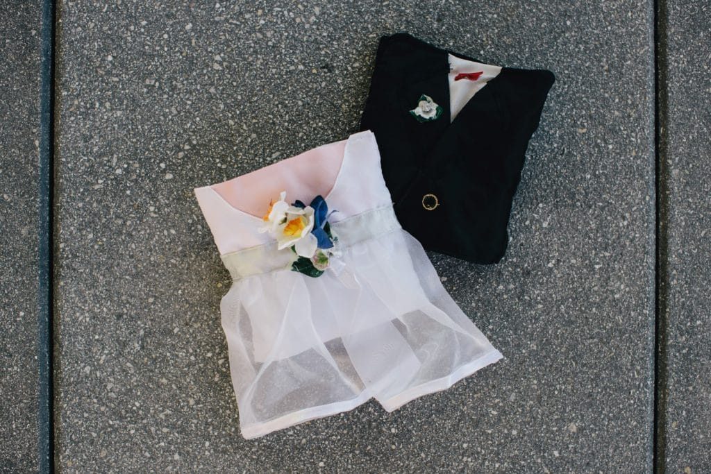 modern purple dc wedding arena stage (4)