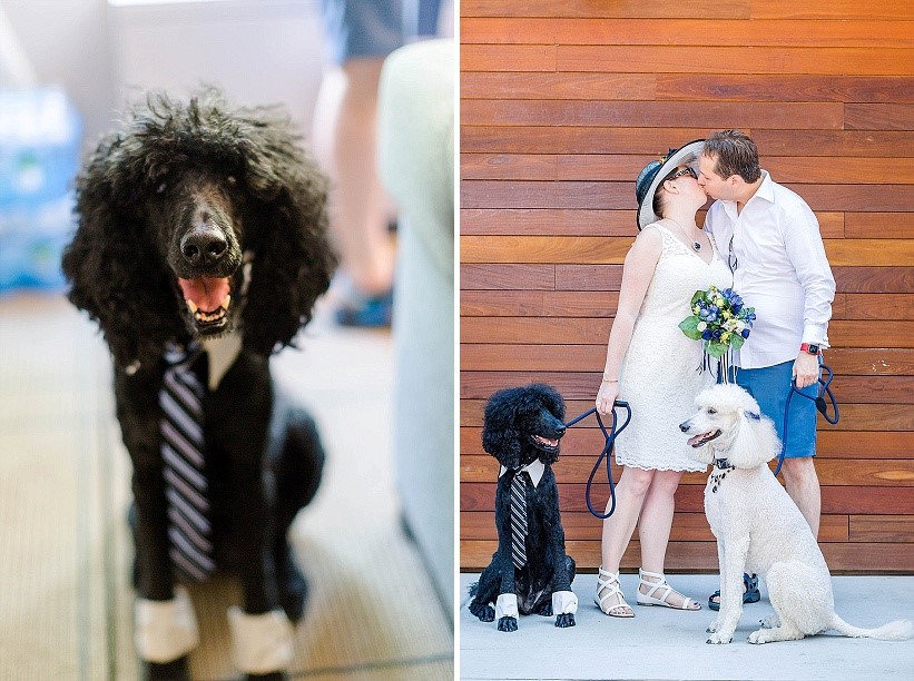 dc-offbeat-wedding-tour-bus-wedding-3